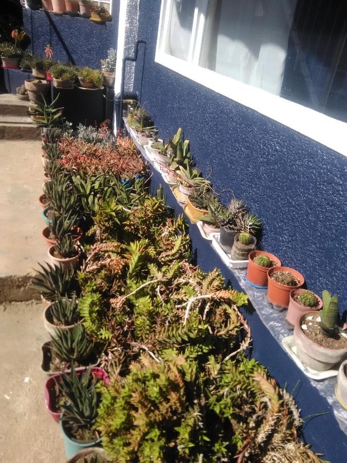 Havilah House Baguio City Εξωτερικό φωτογραφία