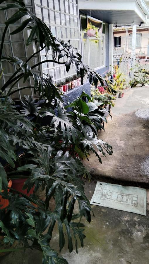 Havilah House Baguio City Εξωτερικό φωτογραφία
