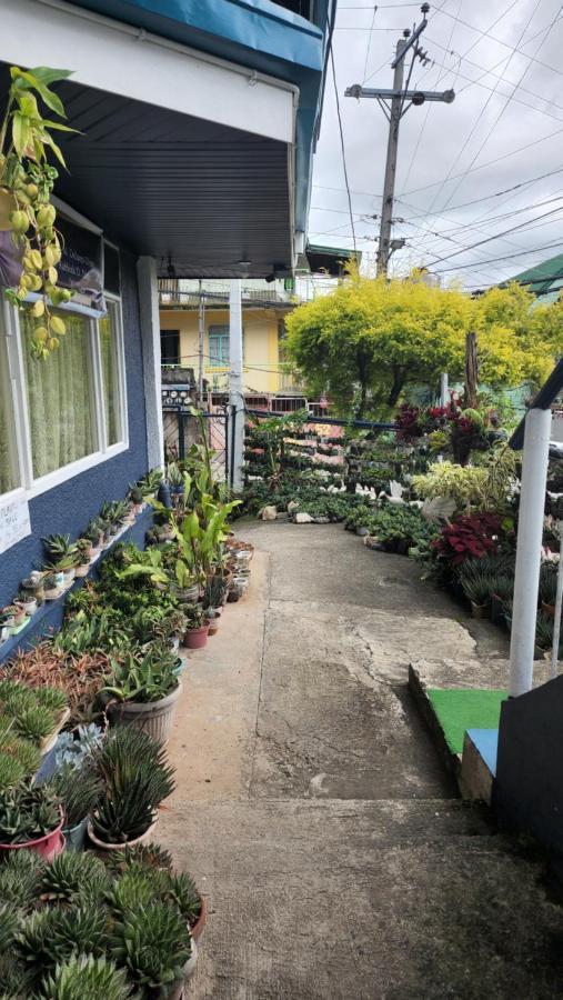 Havilah House Baguio City Εξωτερικό φωτογραφία