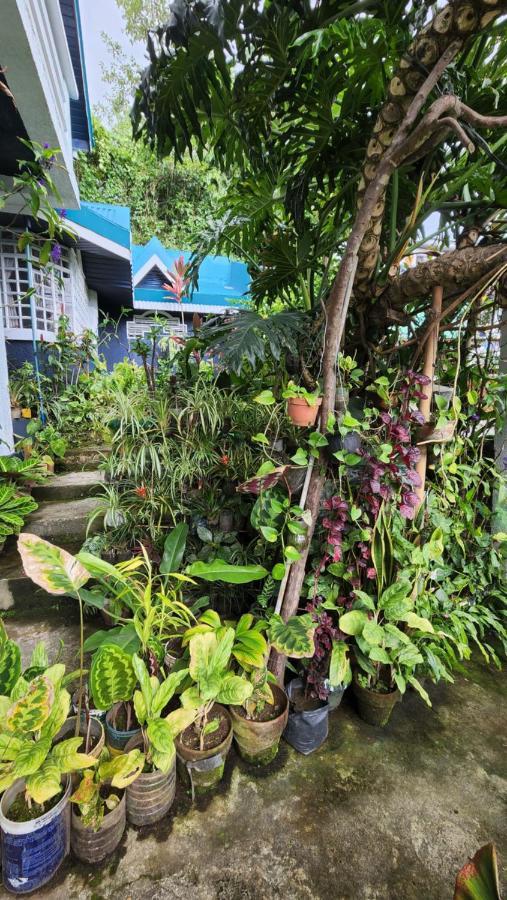 Havilah House Baguio City Εξωτερικό φωτογραφία
